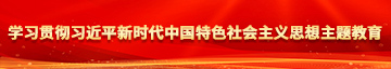 艹女生的视频网站学习贯彻习近平新时代中国特色社会主义思想主题教育